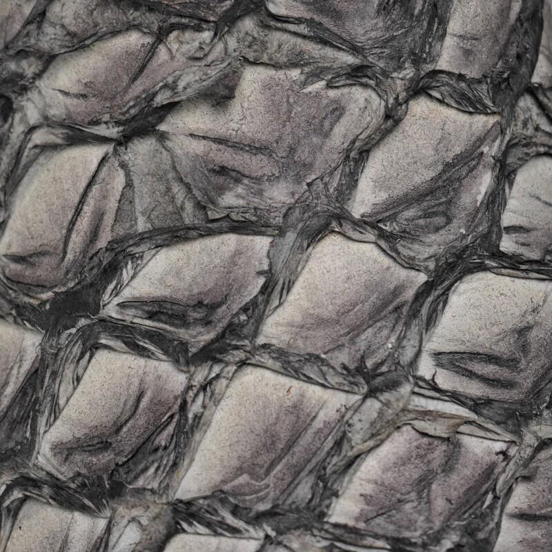 Authentic Gray Pirarucu Skin Boots